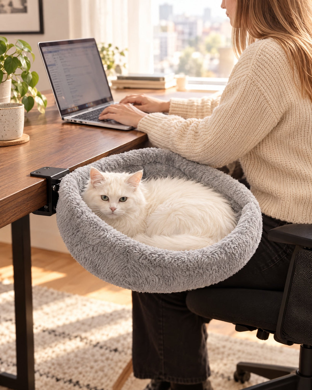 Pisică albă în patul Mitza prins de marginea biroului, lângă o femeie care lucrează la laptop